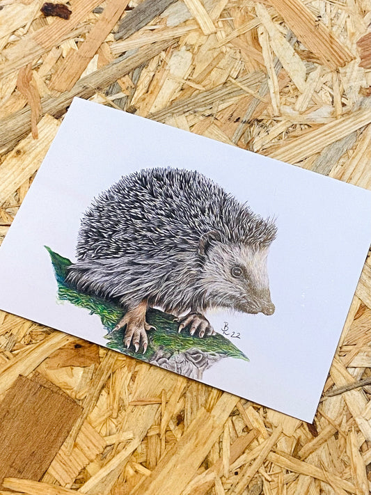 Igel PK bentje.art