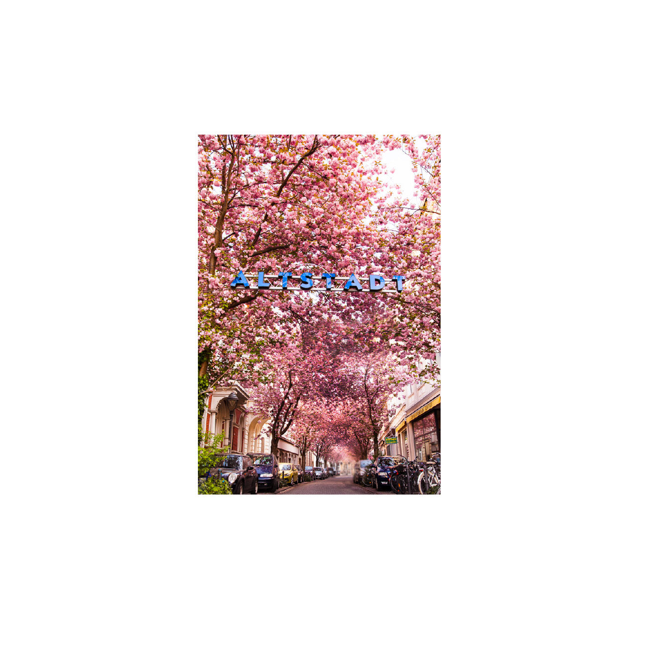 Kirschblüte Altstadt Sticker LYL